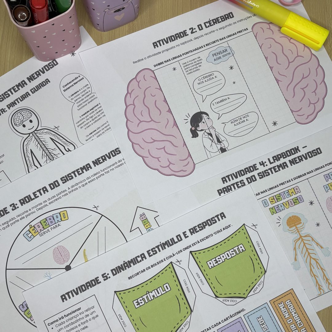 KIT SISTEMA NERVOSO INTERATIVO
